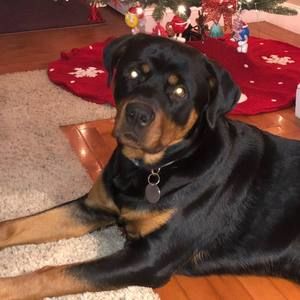 Meet your Posher, Tracey